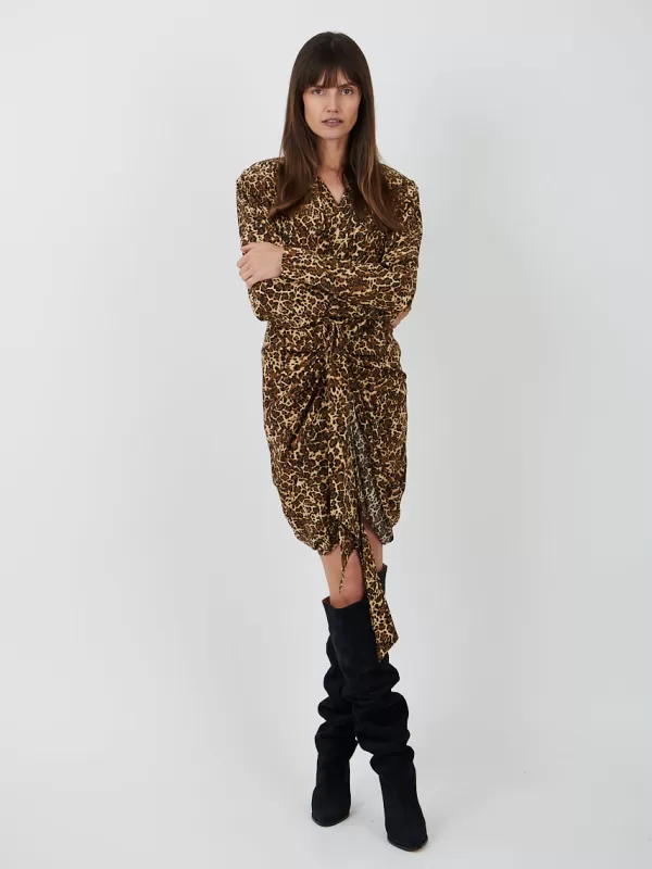 Isabel Marant Cleora Dress in Leopard